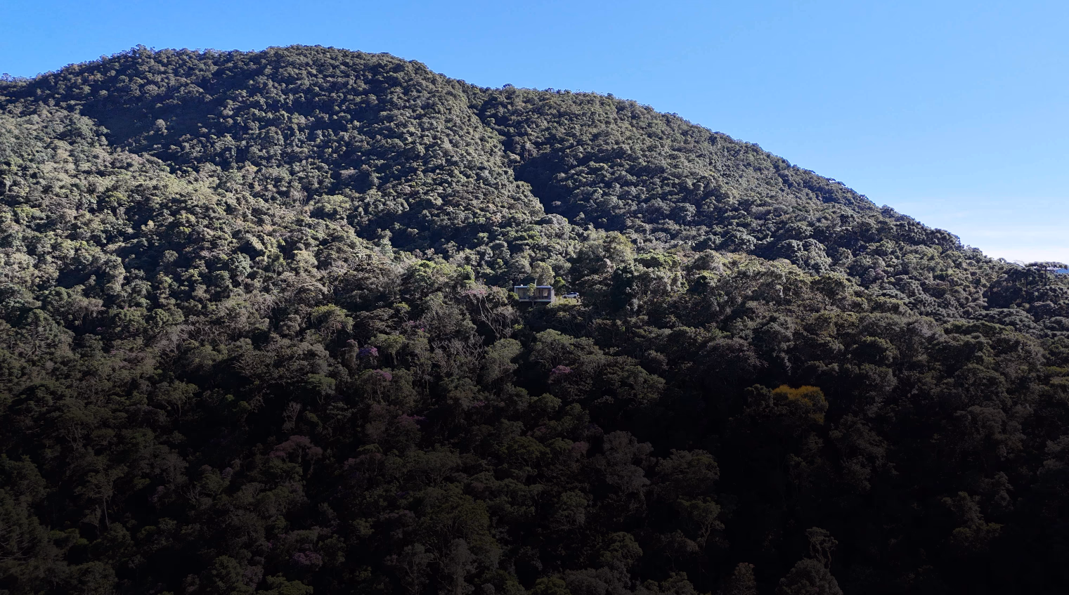 Cabanas em meio à mata da Serra da Mantiqueira